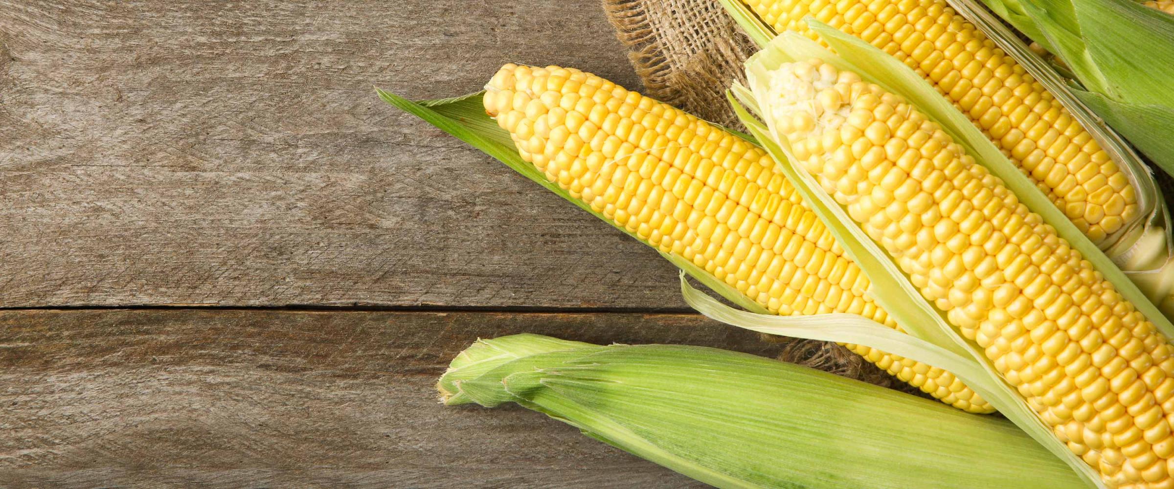 Photo of corn cobs on a wooden surface